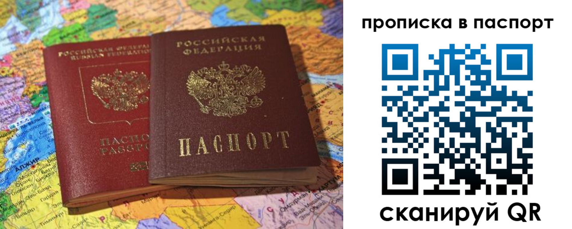 прописка гарантия в Светлогорске