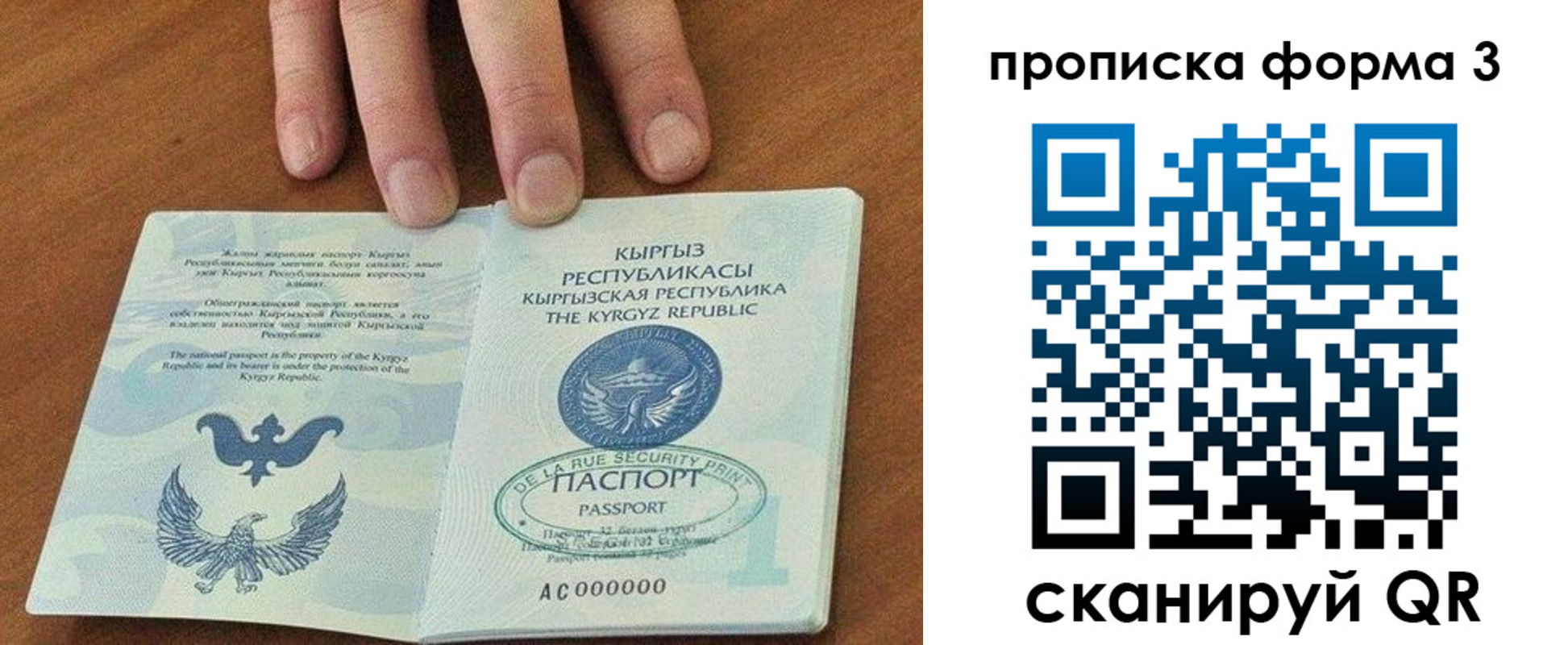 регистрация в Светлогорске